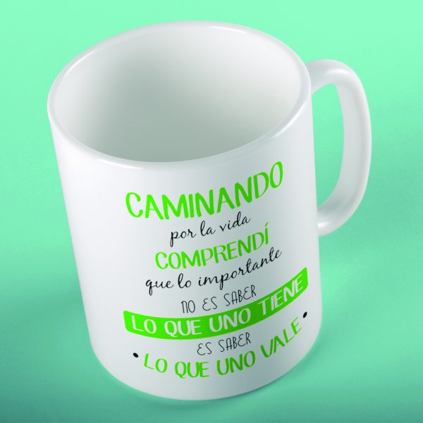 taza1558